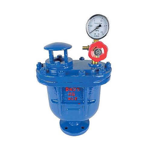 CARX複(fú)合式排(pai)氣閥